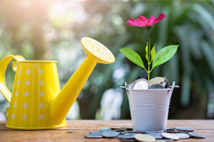Financial independence this festive season